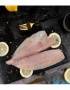 ماهی حلوا سیاه تازه