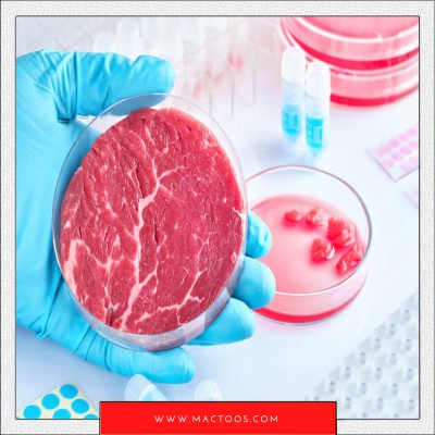 بررسی جامع گوشت‌ مصنوعی کشت داده‌شده در آزمایشگاه