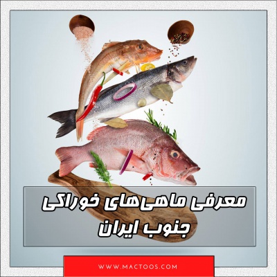 معرفی انواع ماهی های جنوب ایران