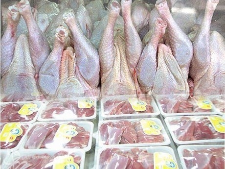 بازار گوشت قرمز در رکود/ احتمال کاهش قیمت‌ در روزهای آینده