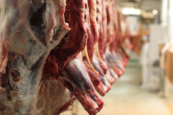 واردات گوشت به سقف رسید/ گوشت خارجی کیلویی ۱۵ هزار تومان