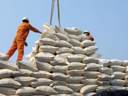 زور بانک مرکزی به مصوبه ستاد تنظیم بازار برنج می‌چربد؟