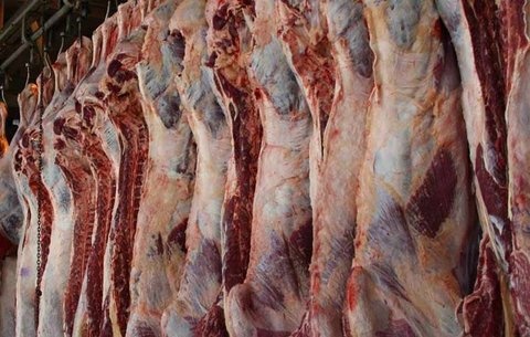 کاهش تعرفه واردات گوشت، ضربه مهلکی به تولید وارد می‌کند