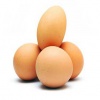 روشهای شناسایی تخم مرغ سالم