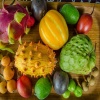 فروش میوه‌های خارجی در مناطق آزاد؛ دانه‌ای ۵۰۰۰ تا ۲۵۰ هزار تومان