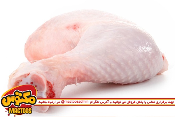 گوشت مرغ، منبعی سرشار از پروتئین و مناسب برای عضله سازی