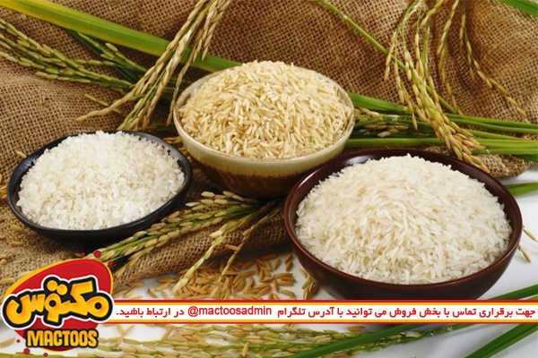 گرانی برنج خارجی به کمبود ربطی ندارد