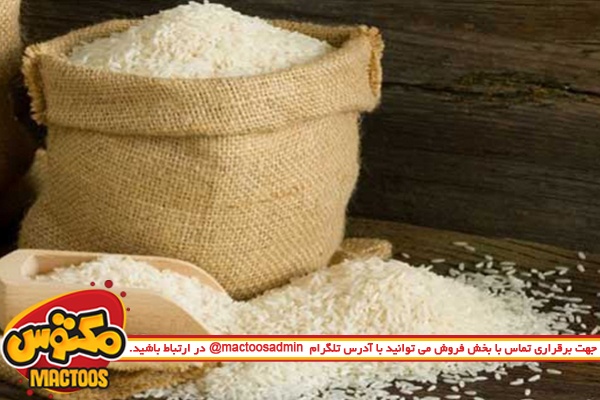 تکذیب واردات ۳ میلیون تنی برنج