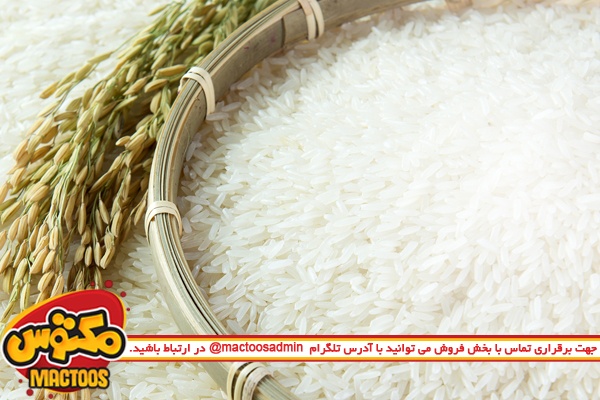 رقابتی شدن بازار برنج شمال کشور با تک نرخی شدن ارز