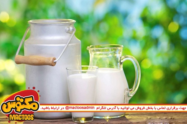 شیر حاوی فلزات سنگین از لبنیات‌ سنتی سر در می‌آورد