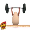 عضله سازی با تخم مرغ