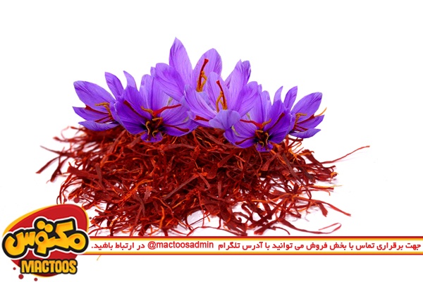 نقش پررنگ خارجی‌ها در تعیین قیمت زعفران ایرانی