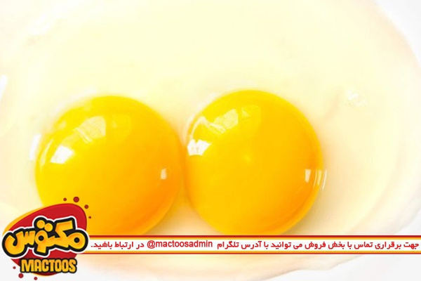 اطلاعاتی درباره تخم مرغ دو زرده
