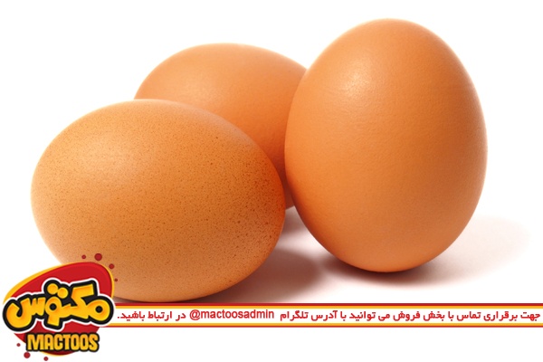 رنگ پوسته نشان دهنده ارزش تخم مرغ نیست