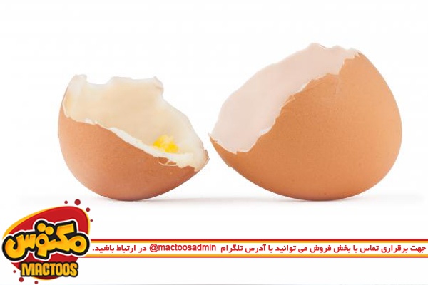 پوست تخم مرغ را به هیچ وجه دور نیندازید