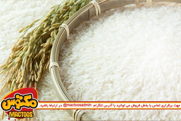 احتمال قاچاق برنج به کشورهای همسایه وجود دارد