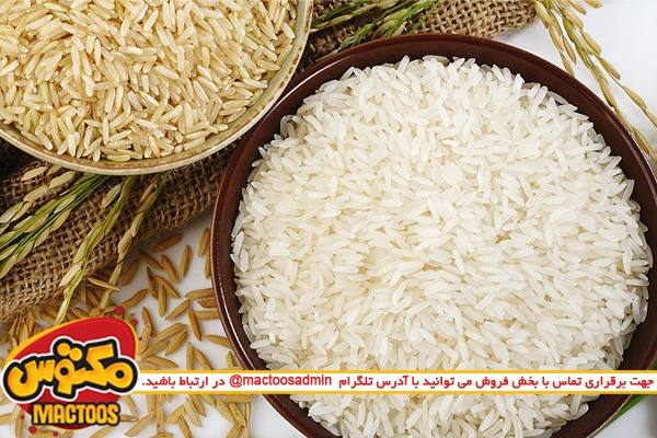 ایران ۳۰ هزار تن برنج از هند می‌خرد