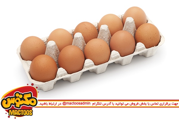 هر تخم مرغ رنگی، محلی نیست