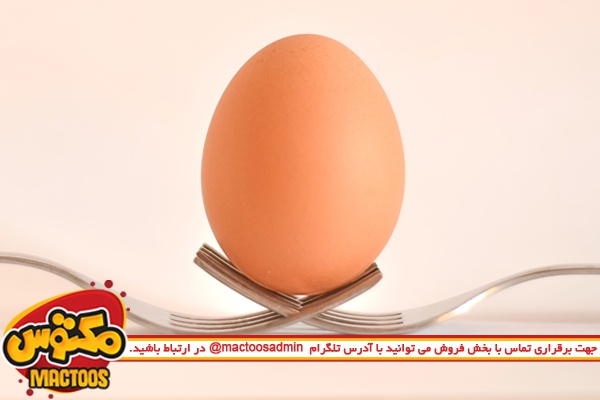 صبحانه تخم مرغ بخورید تا لاغر شوید